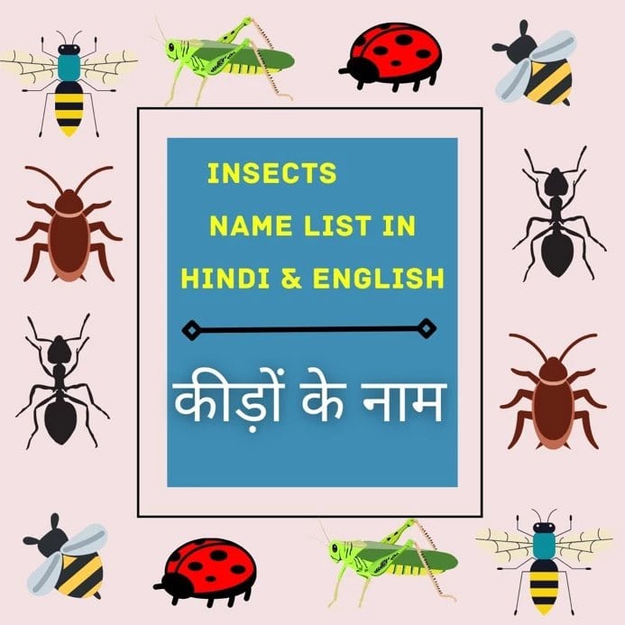 कीड़ों के नाम इन हिंदी Insects Name List in Hindi And English
